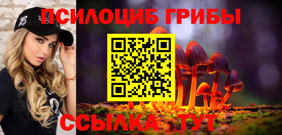 Псилоцибиновые грибы GOLDEN TEACHER Люберцы